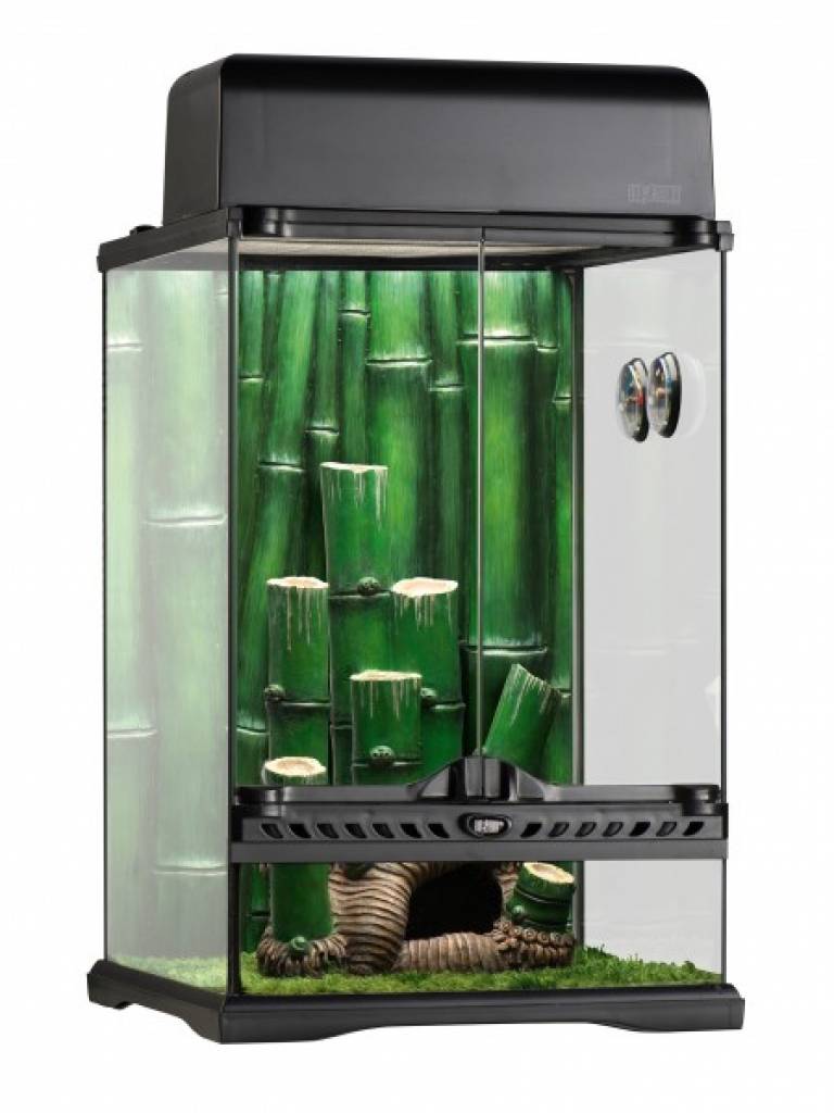 Exo Terra Bamboo Forest Kit